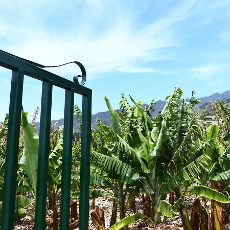 Casa Rural El Pinito Los Llanos De Aridane